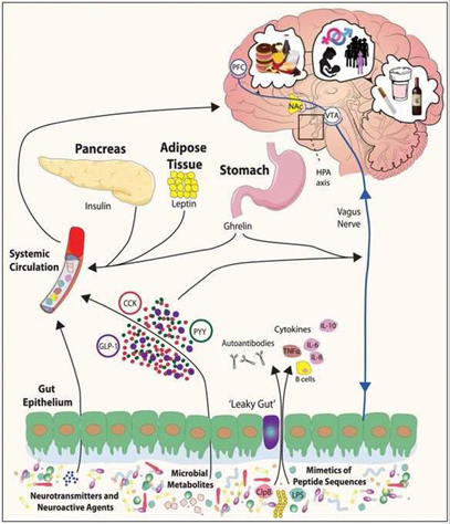 Estrés ansiedad y depresión se manifiestan con frecuencia con síntomas digestivo